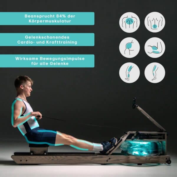 Rudergerät WaterRower Driftwood